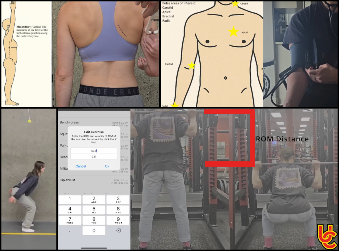 Students using multimedia resources during exercise physiology laboratory training